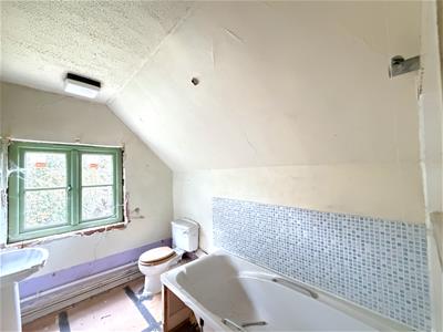Picture 15